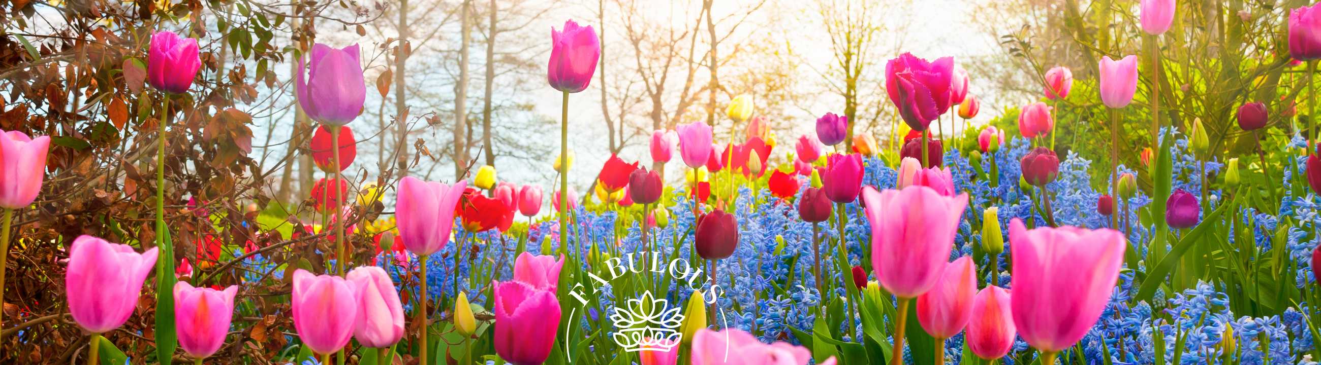 75 Beautiful Flower Quotes to Inspire, Uplift, and Brighten Your Day - Fabulous Flowers and Gifts; pink tulips in sunlit garden