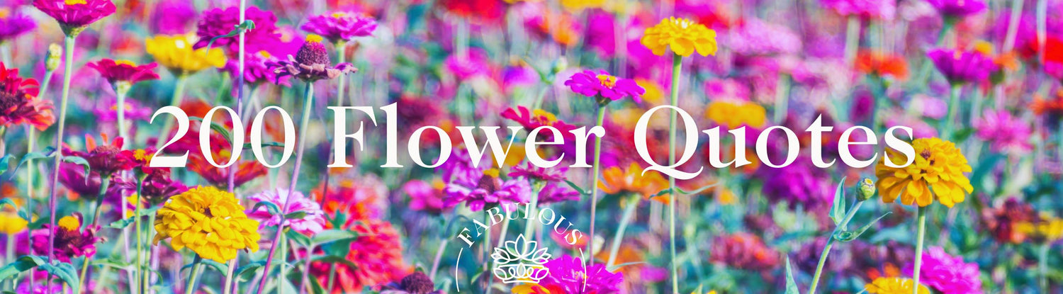 200 Flower Quotes – Fabulous Flowers & Gifts banner with colourful zinnia field background in pink, purple, orange and yellow.