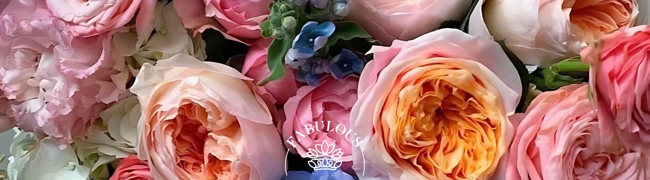 What is a Rose? A Complete Guide to Nature's Most Beloved Flower – vibrant garden roses in shades of pink, peach, and orange from Fabulous Flowers & Gifts.