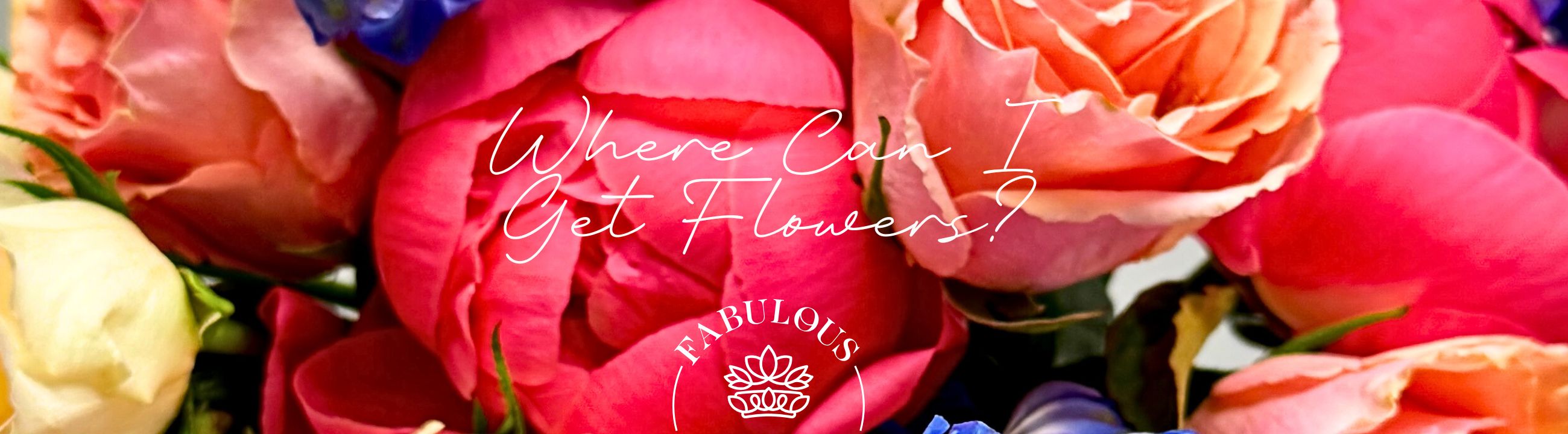 Vibrant pink and peach roses with text overlay ‘Where Can I Get Flowers?’ – Fabulous Flowers and Gifts blog banner.