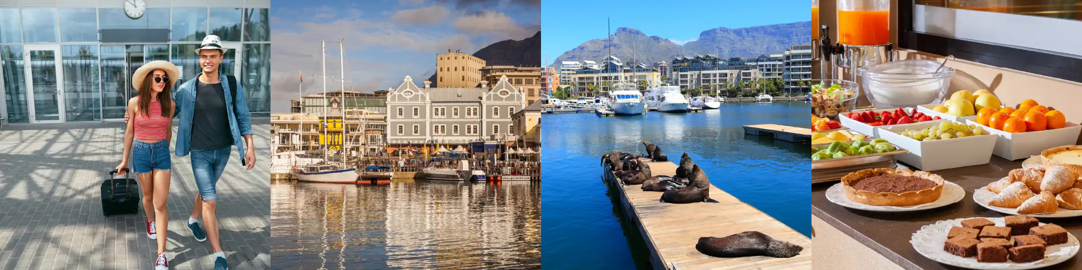 Travellers at an airport, scenic marina, sea lions on a dock, and a breakfast buffet. Transform your space. Fabulous Flowers and Gifts. Airbnb, Guest House and Hotel.