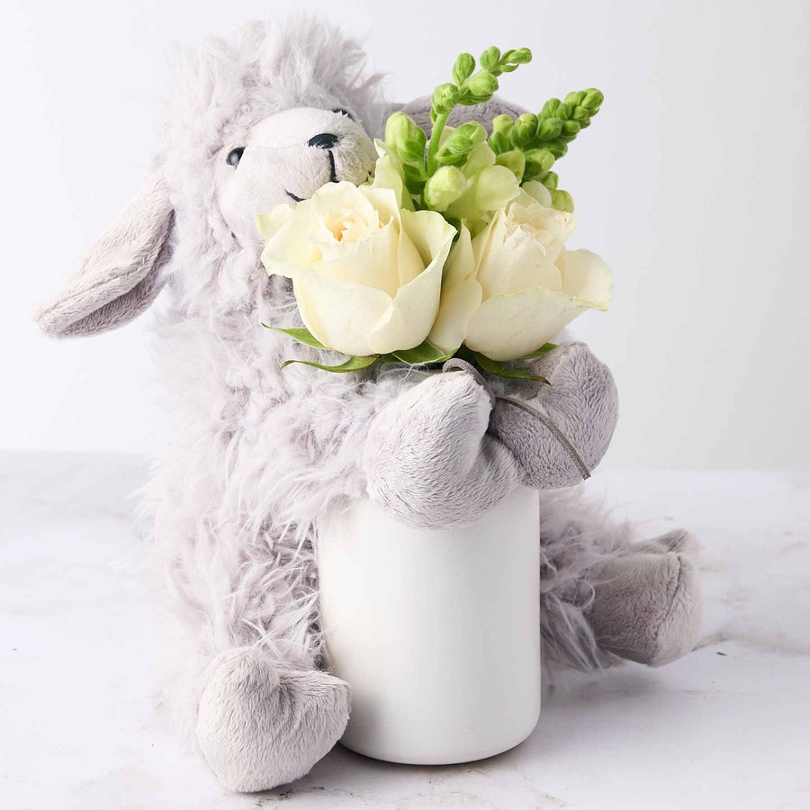 Baby Boy Gift - alternate view