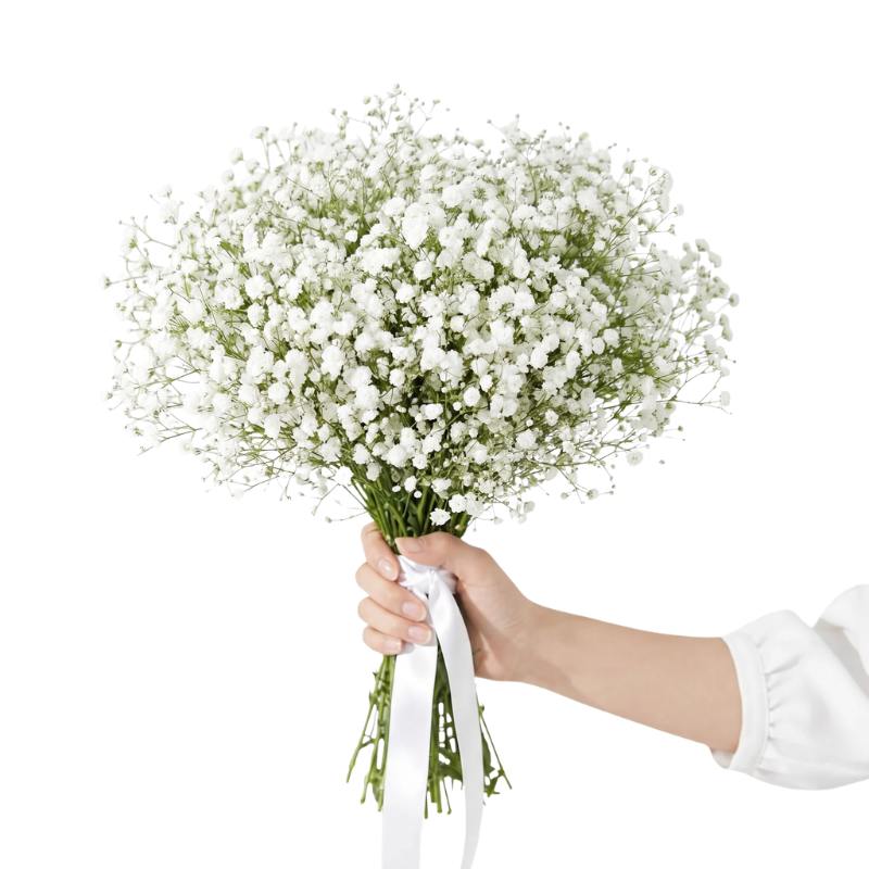 Hand holding a beautiful baby breath bouquet with white ribbon