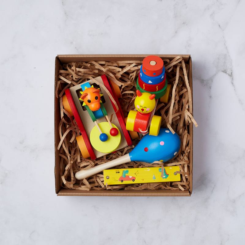 Baby's First Toy Set featuring colourful wooden toys, including a lion push toy, stacking rings, maraca, and dinosaur-themed rattle.