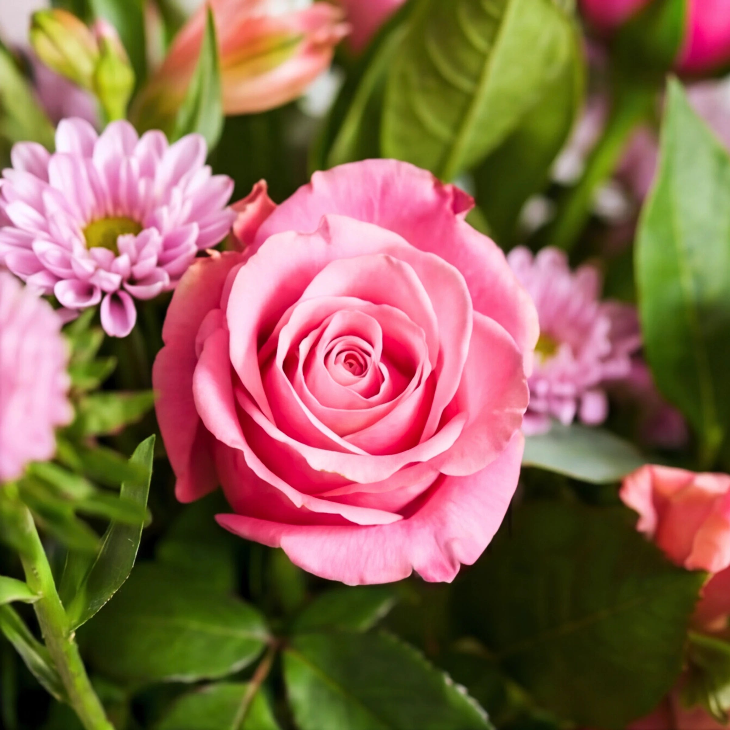Close-up of a pink rose with a lilac chrysanthemum in the Beauty in a Bottle bouquet