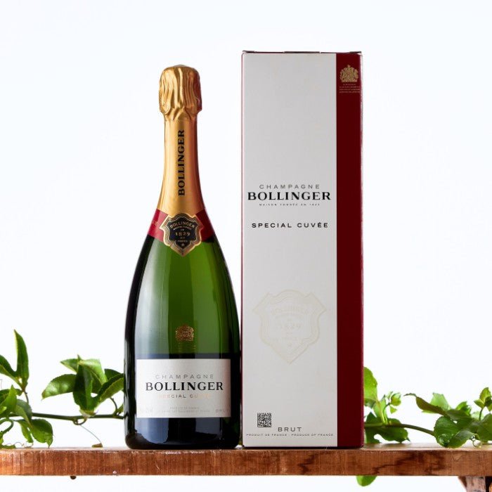Bollinger Special Cuvée Brut champagne with bottle standing beside its red and white box, set against a plain background with a small green plant to the side, representing luxury and celebration.