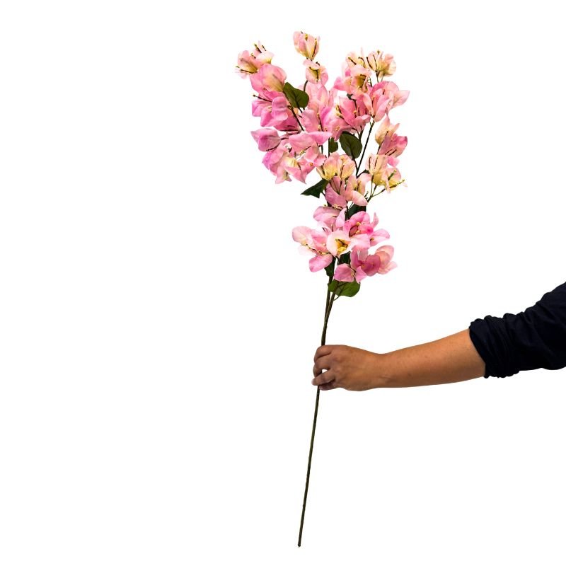 Hand holding a branch of pink flowers against a white background