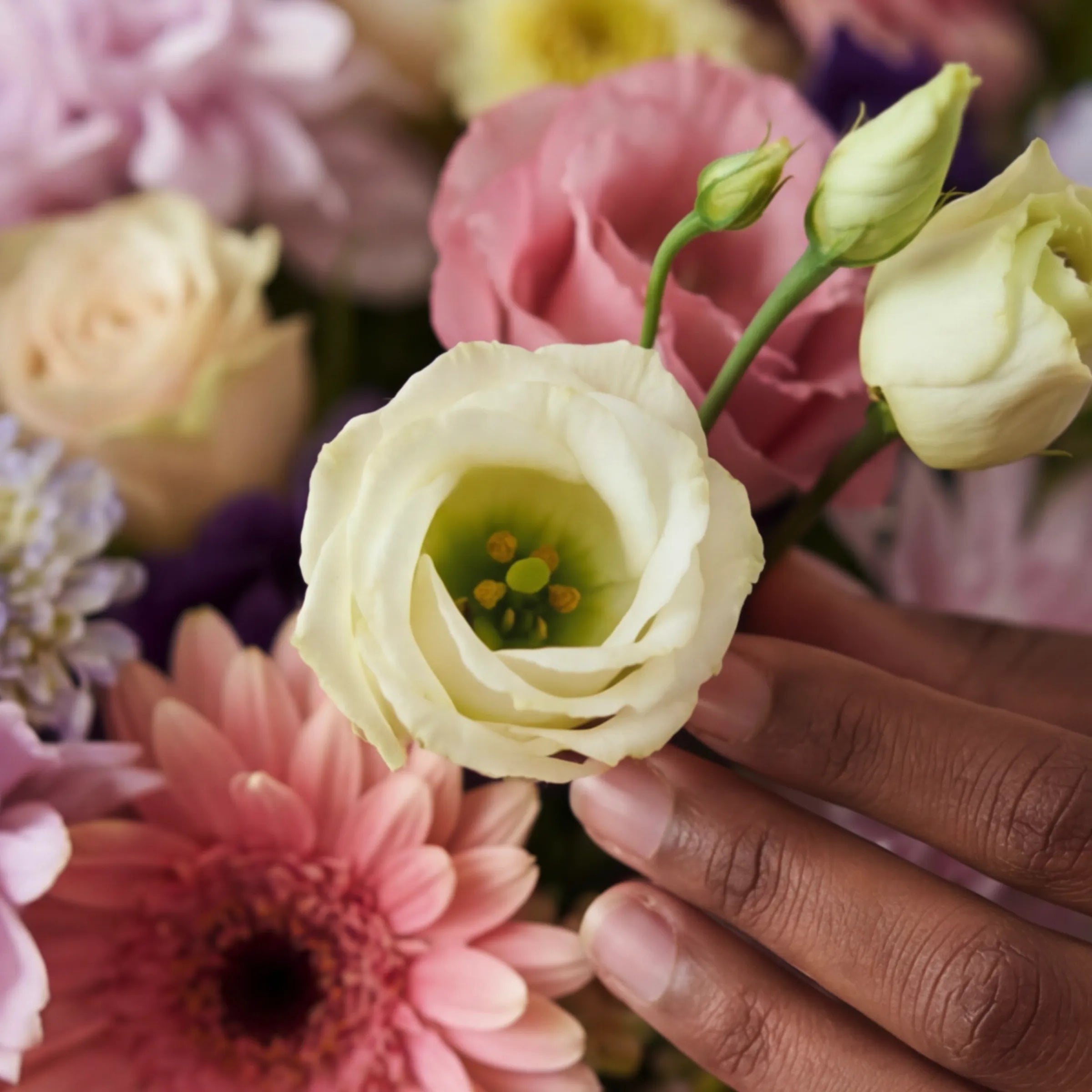Close-up of cream lisianthus and pink gerbera in the Buttercream Blooms hand-tied birthday bouquet