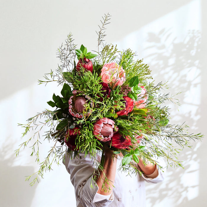 Cape Town Protea Bouquet of pink and red proteas with wild fynbos greenery, held in the sunlight