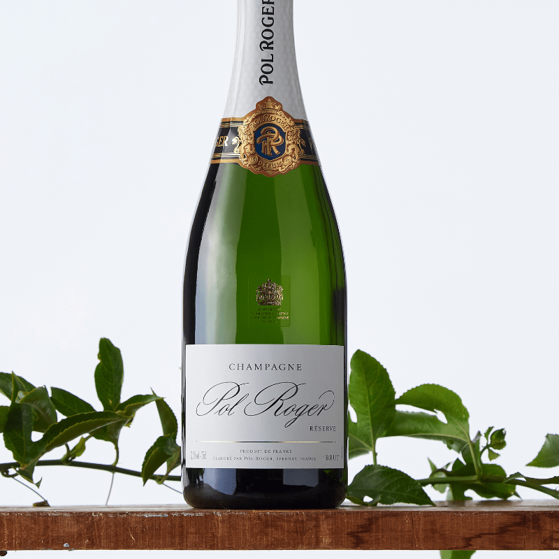Close-up of Pol Roger Champagne bottle with detailed gold crest and elegant white label, styled with greenery on a wooden ledge.