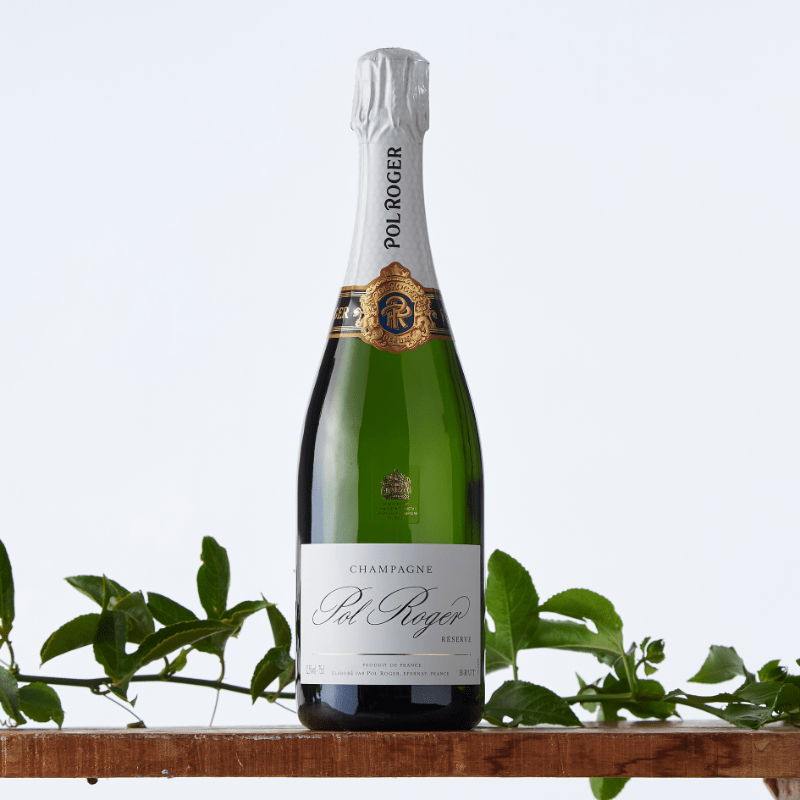 Pol Roger Réserve Brut Champagne bottle with white and gold label displayed on a wooden shelf with green vine leaves against a light background.