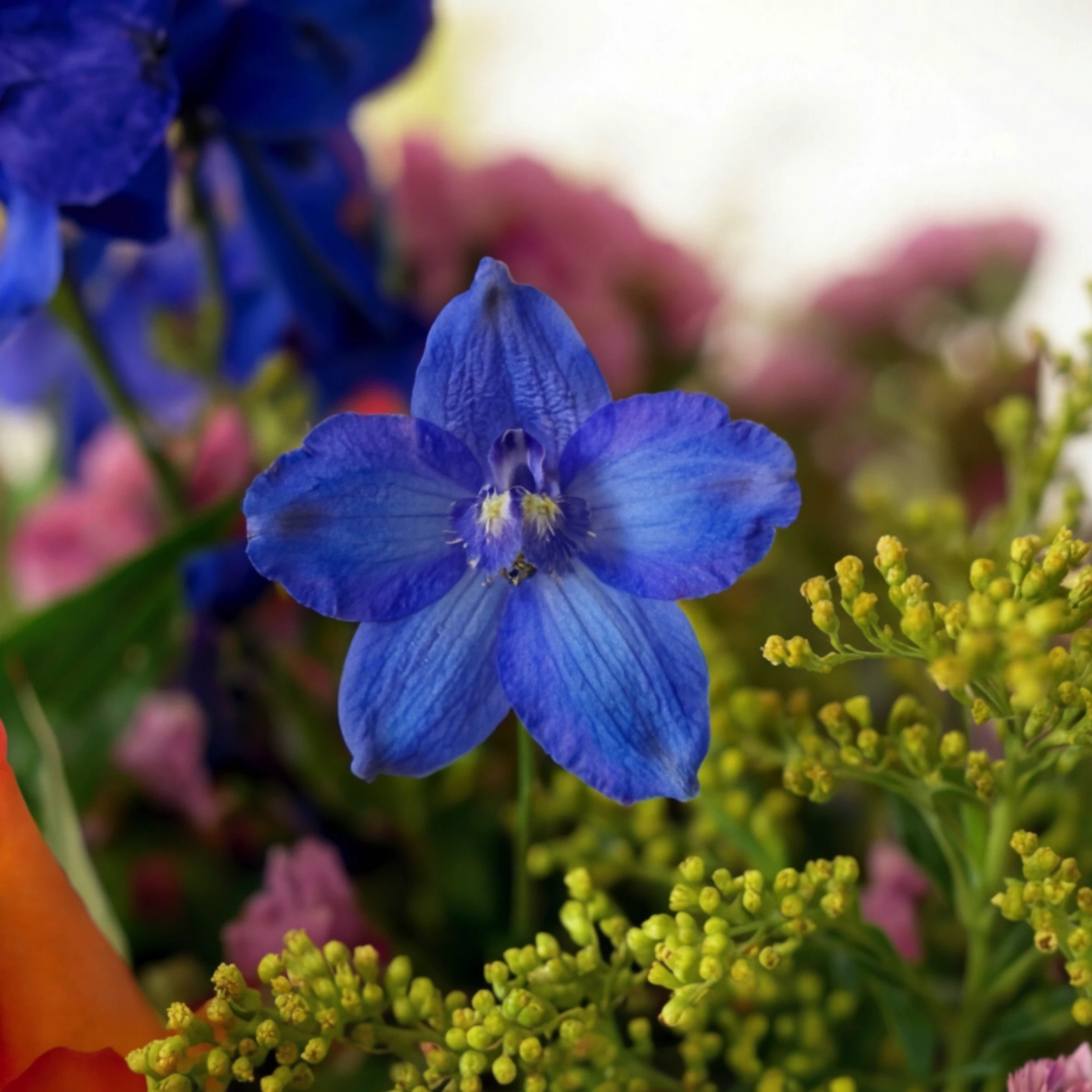 Close-up of a blue delphinium flower and lime-green solidago in the Cheer in a Jar arrangement by Fabulous Flowers