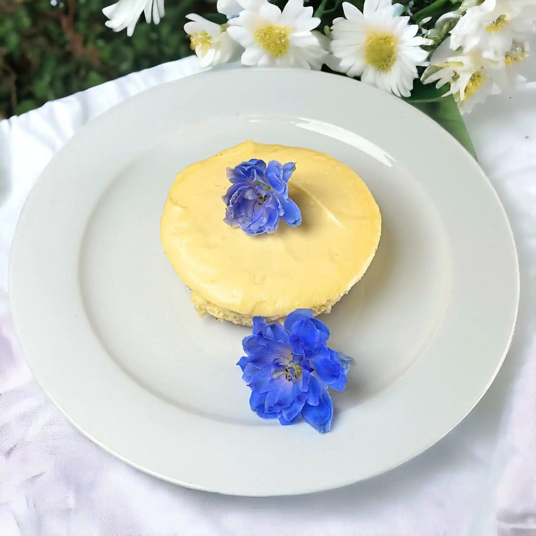 Creamy cheesecake topped with delicate blue flowers, presented on a white plate with white daisies in the background. Fabulous Flowers and Gifts.