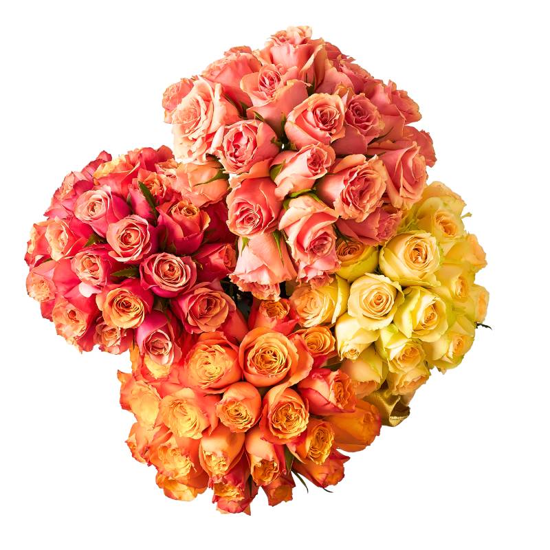 Cherry Elegance bouquet close-up — clusters of coral, orange and yellow roses | Fabulous Flowers and Gifts