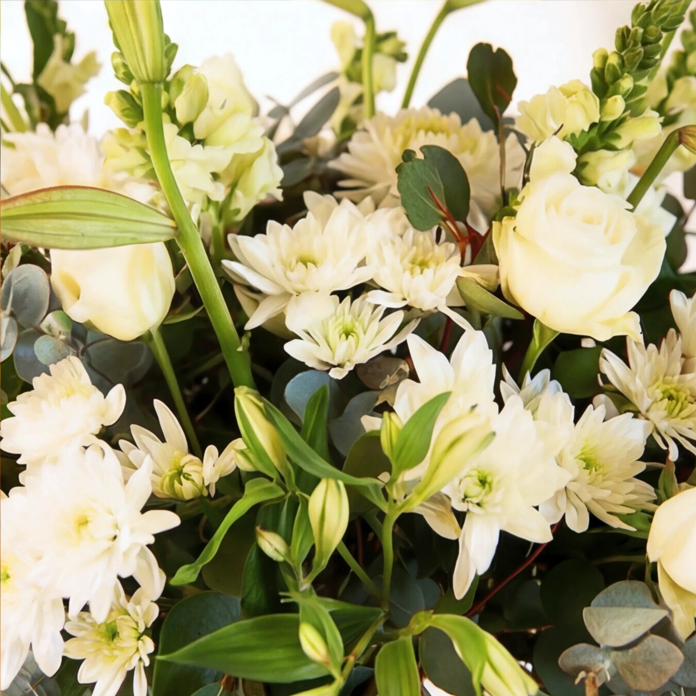 Close-up of the Classic White arrangement: white roses, chrysanthemums, snapdragons and eucalyptus, Fabulous Flowers