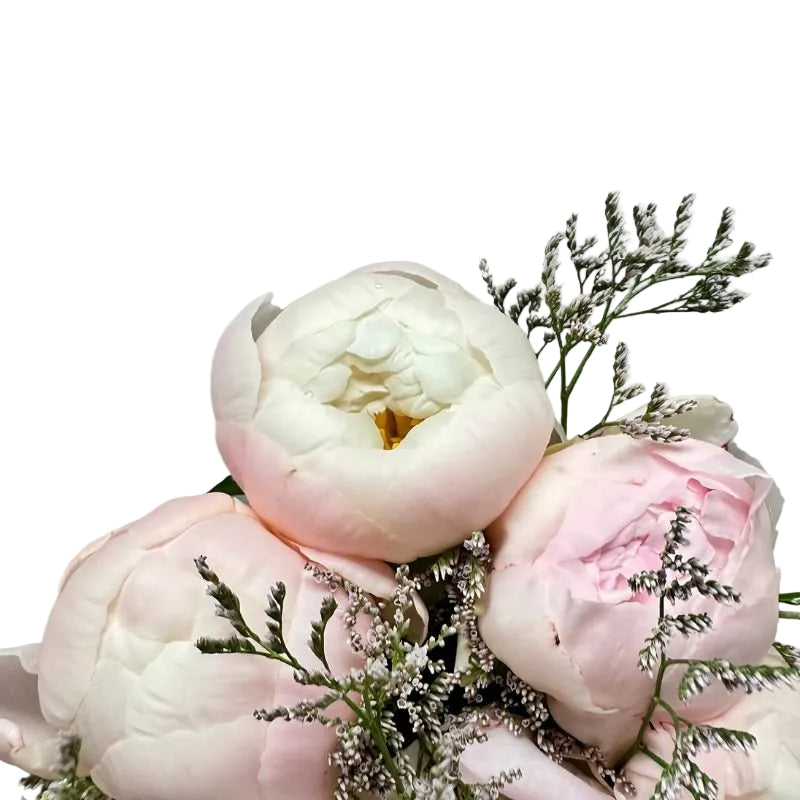 Close-up of Clouds of Love bouquet with white and blush peonies and delicate filler blooms.