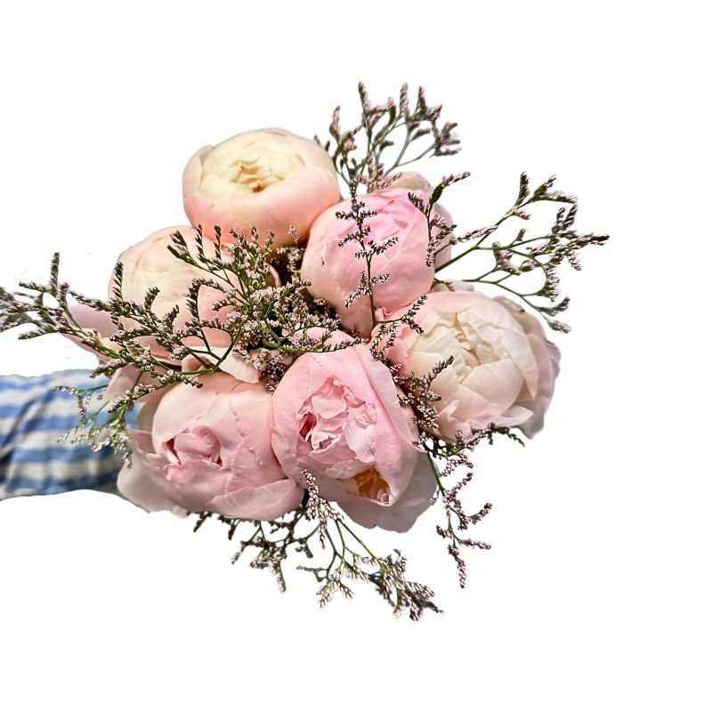 Clouds of Love bouquet with soft pink peonies and gentle greenery held by florist in blue striped shirt.