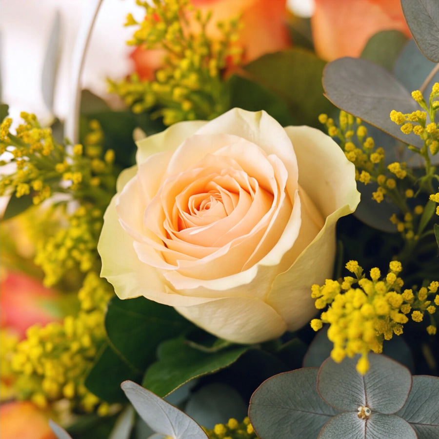 A close-up of a peach-colored rose surrounded by green foliage and small yellow flower clusters.