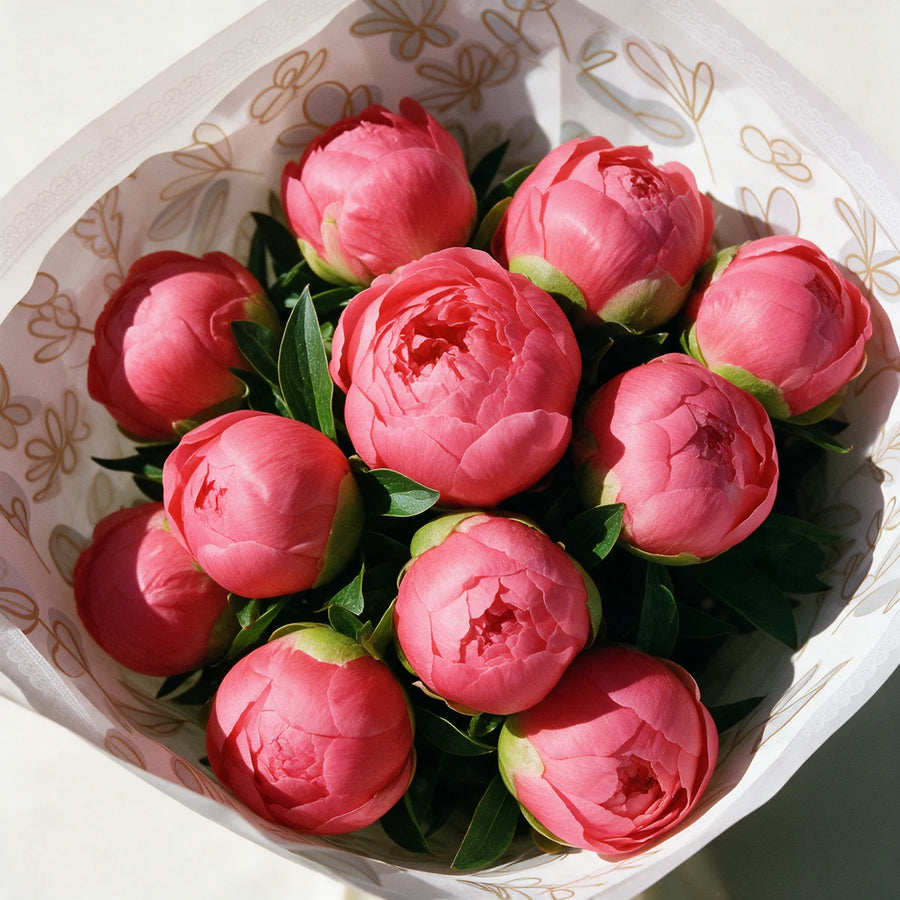 Top-down close-up of coral peony buds just starting to open, surrounded by green leaves and gold leaf print paper