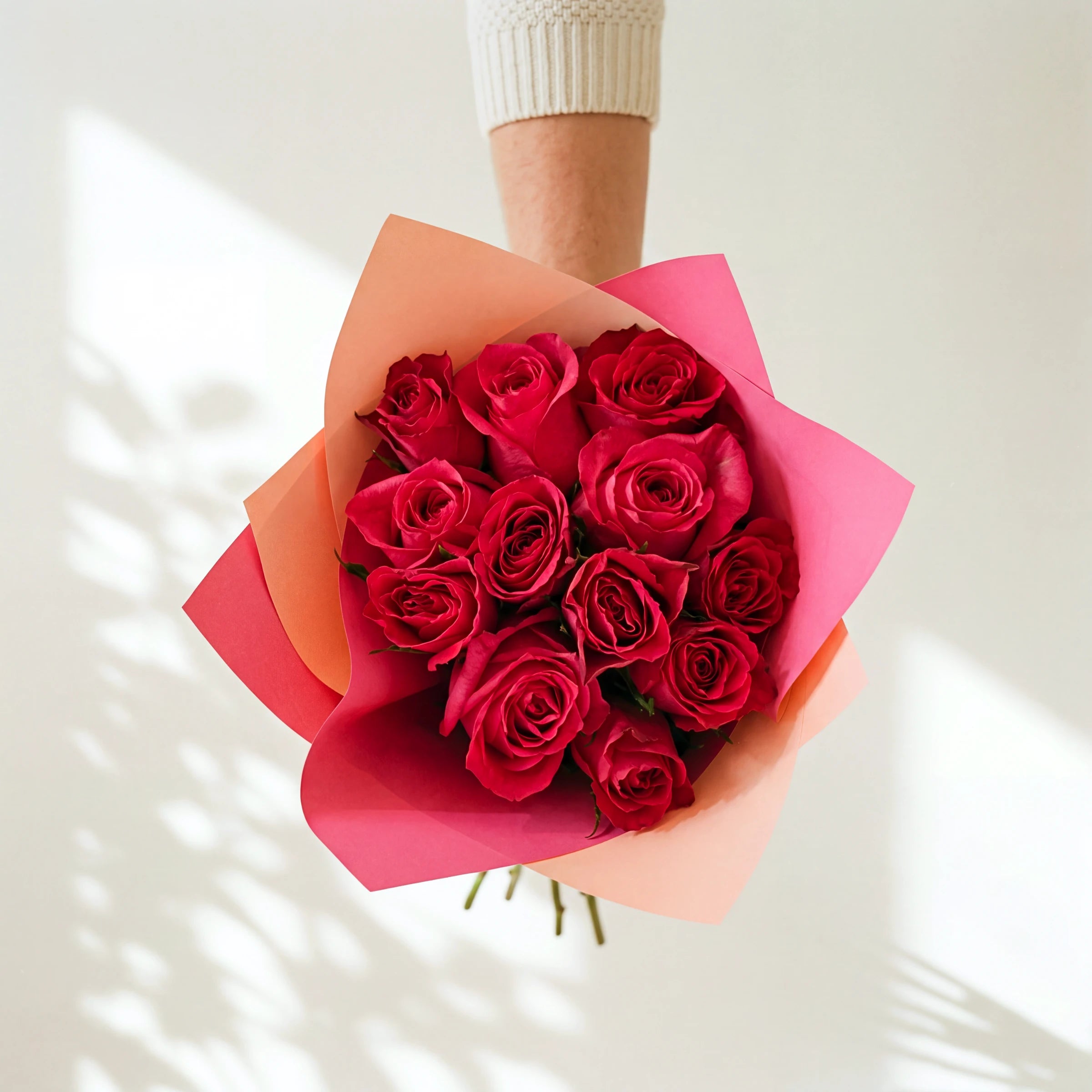 Cosmo, a dozen hot pink cerise roses in a two-tone pink and peach wrap, held by Fabulous Flowers