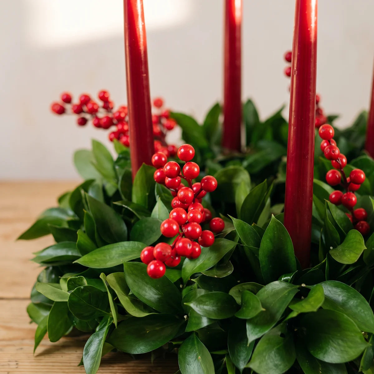 Close-up of glossy red berries among green leaves at the base of red candles, Fabulous Flowers South Africa