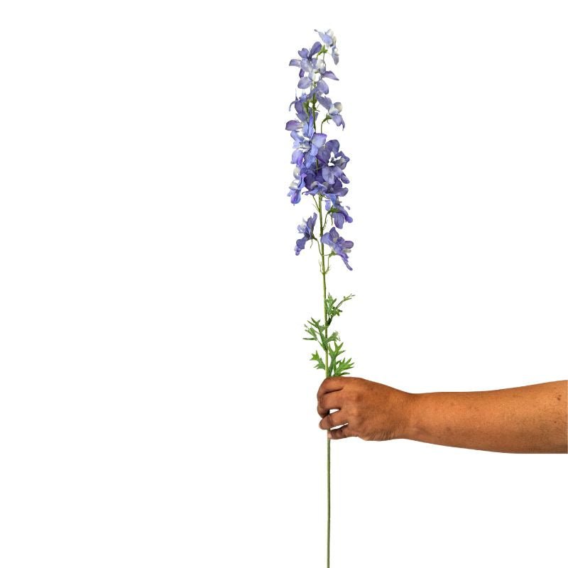Hand holding a tall stem of blue flowers against a white background