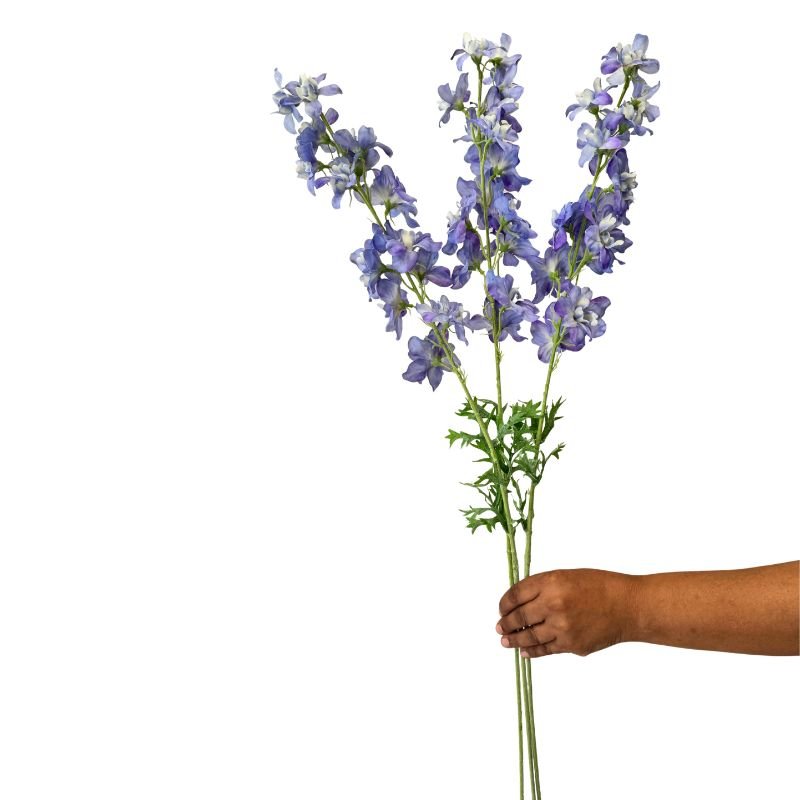 Hand holding a branch of blue flowers against a white background