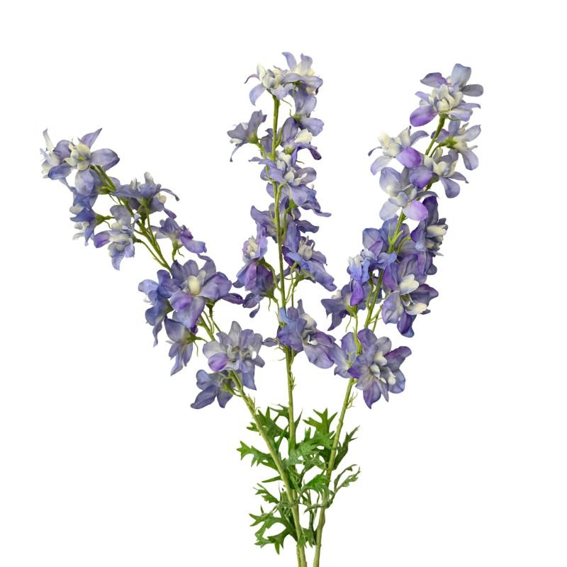 Bouquet of purple flowers with green stems on a white background