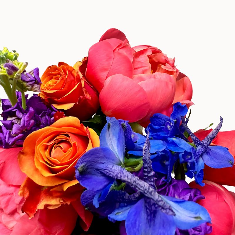Electric Bloom
