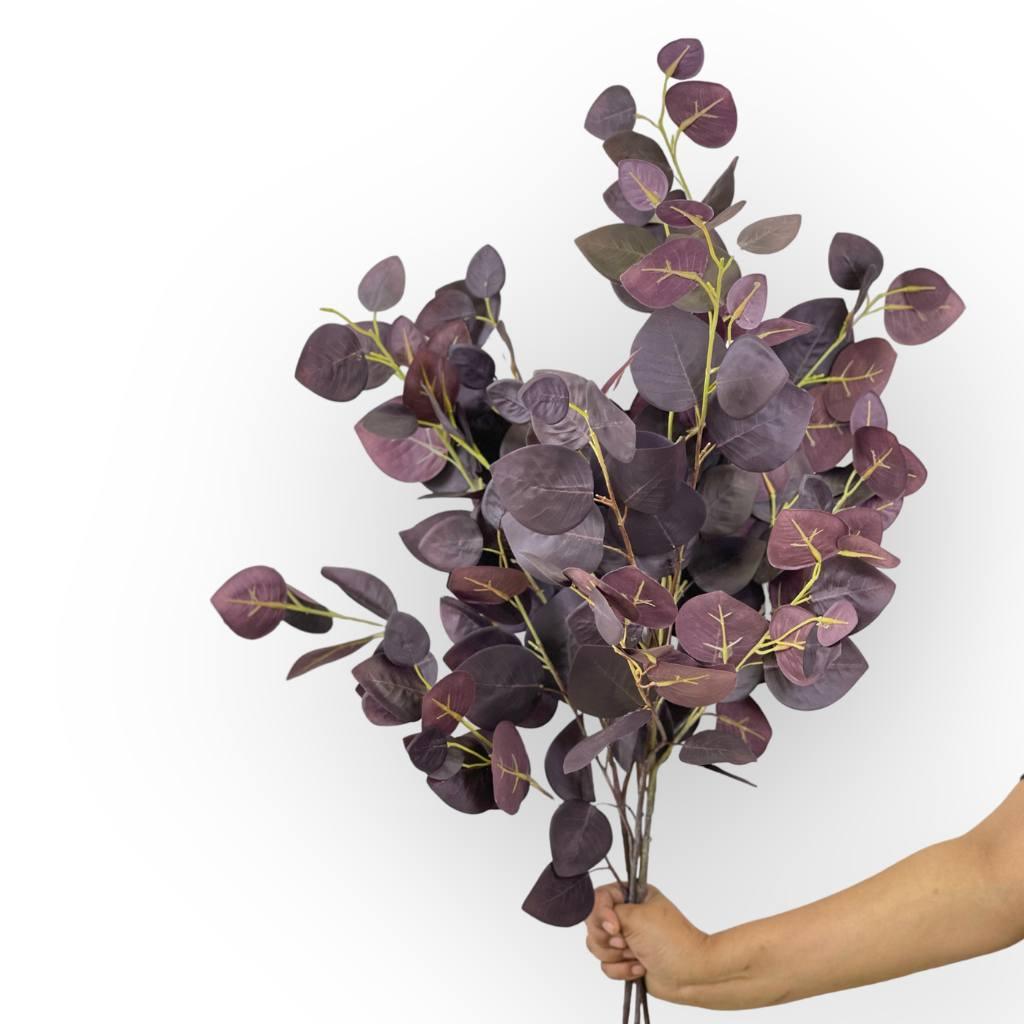 Close-up of Eucalyptus Burgundy Leaves | Fabulous Flowers and Gifts