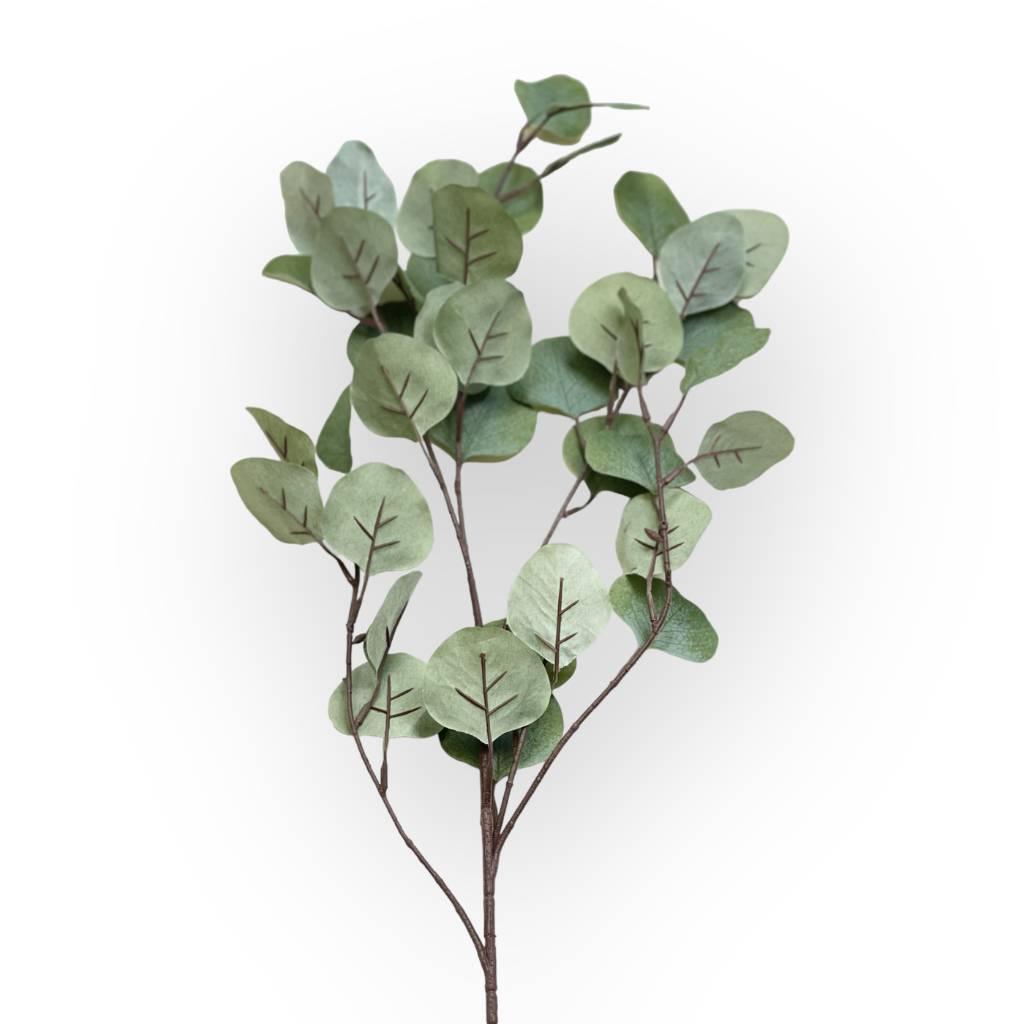 Eucalyptus Grey Green Foliage - Tranquil Decor | Fabulous Flowers and Gifts