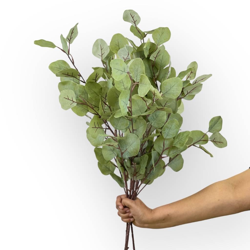 Eucalyptus Grey Green Foliage - Tranquil Decor | Fabulous Flowers and Gifts