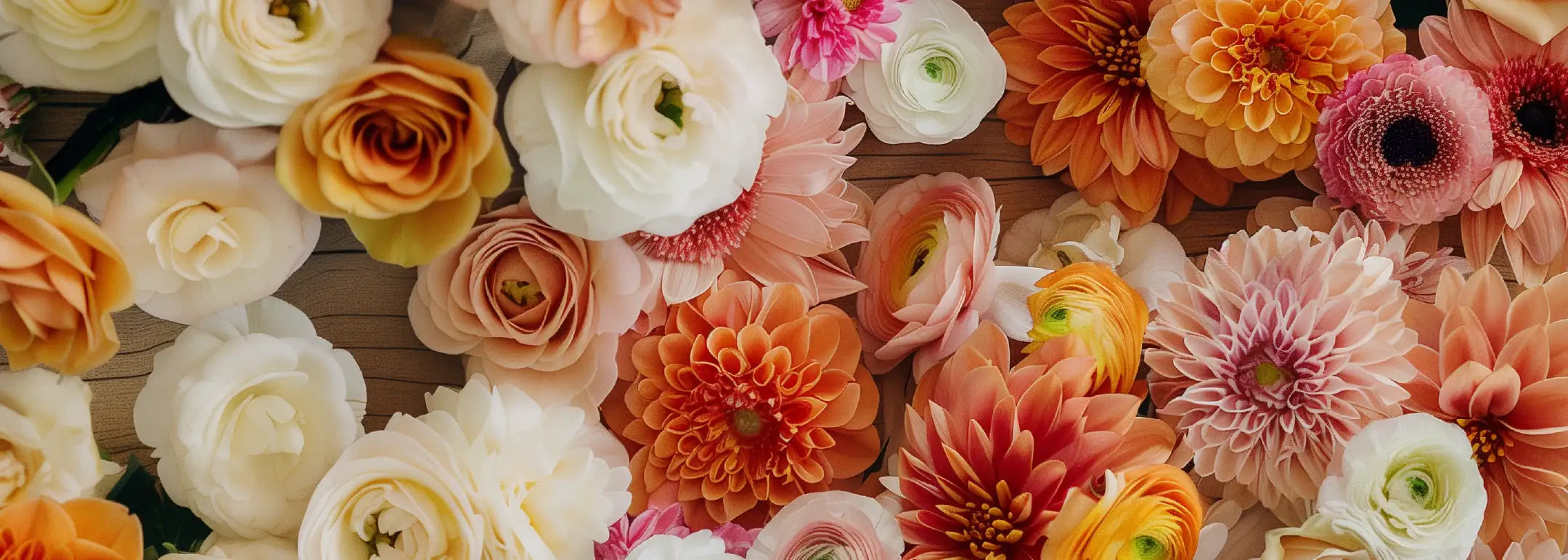 Close-up of various colourful flowers with the text 'Can't find what you're looking for? Get in touch with us instead.' Frequently Asked Questions. Fabulous Flowers and Gifts.