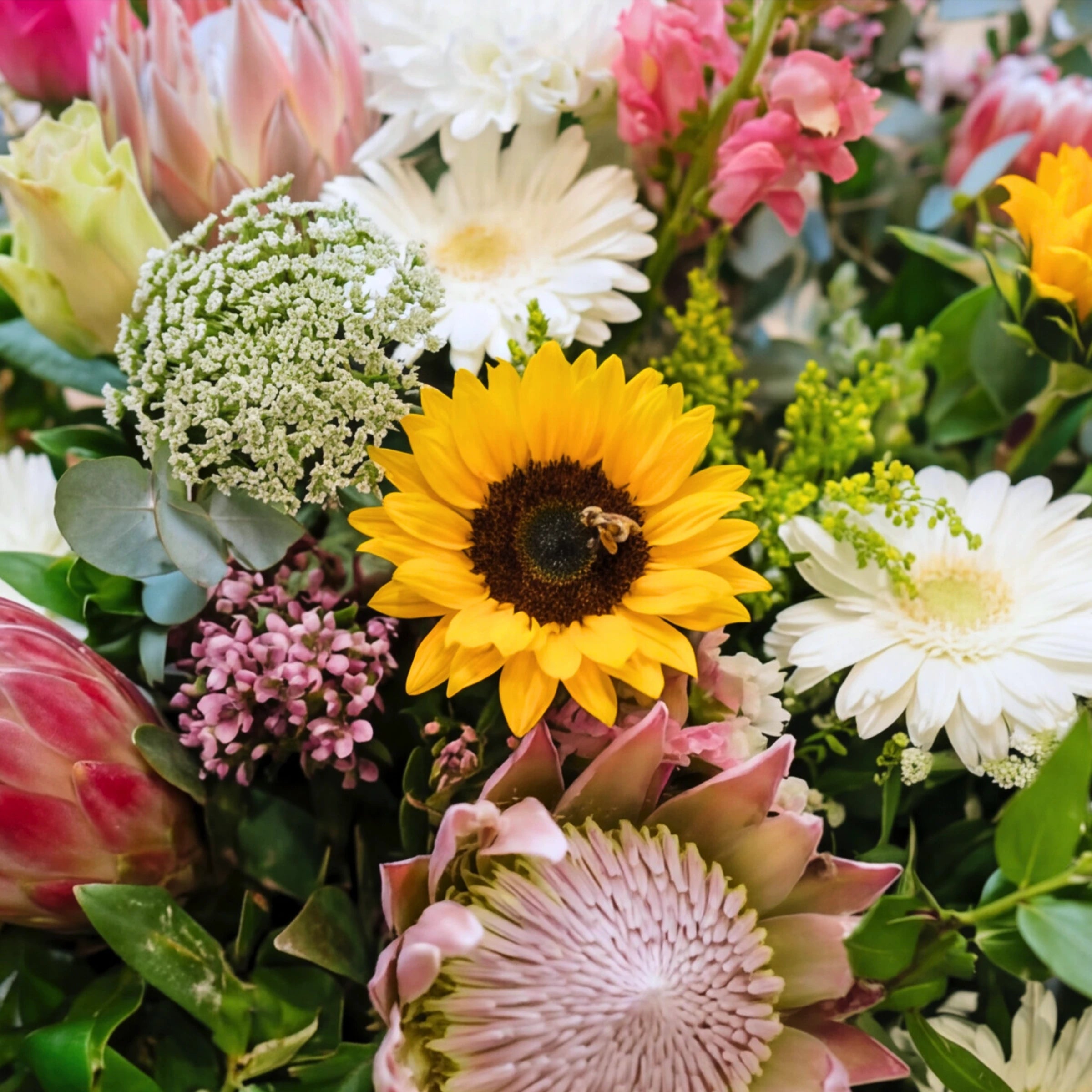 Close-up of a sunflower, white gerberas, pink king protea and waxflower in the funeral service flowers.