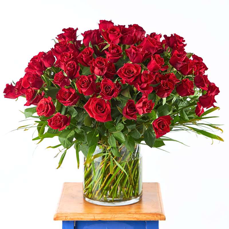 Large arrangement of red roses in a clear vase on a white background