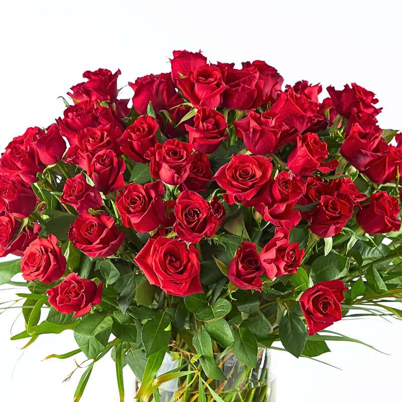 Large arrangement of red roses with green leaves in a clear vase on a white background