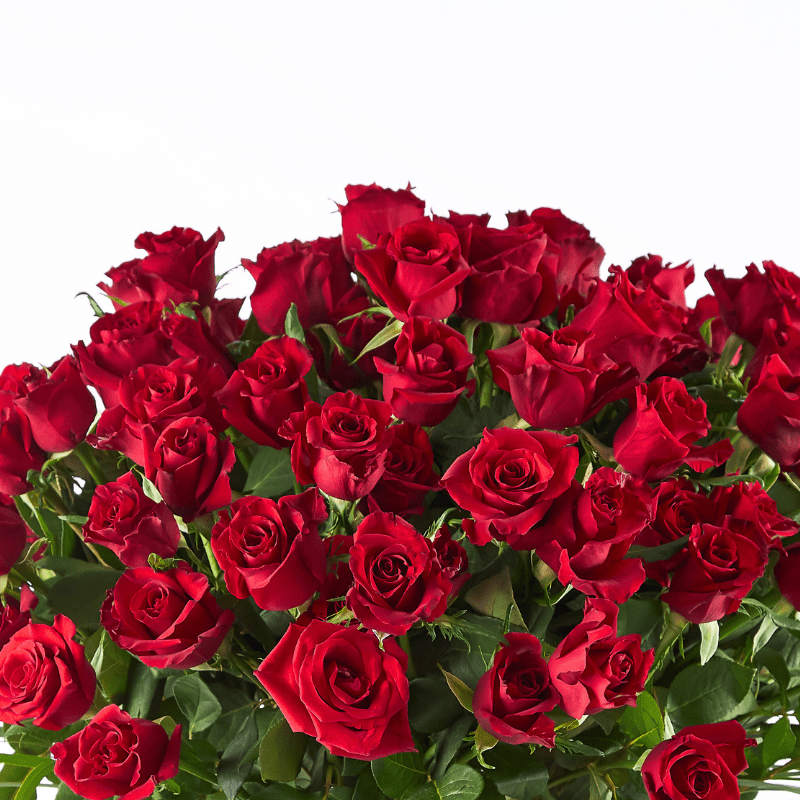 close-up of deep red roses with velvety petals and rich green leaves in a romantic flower arrangement