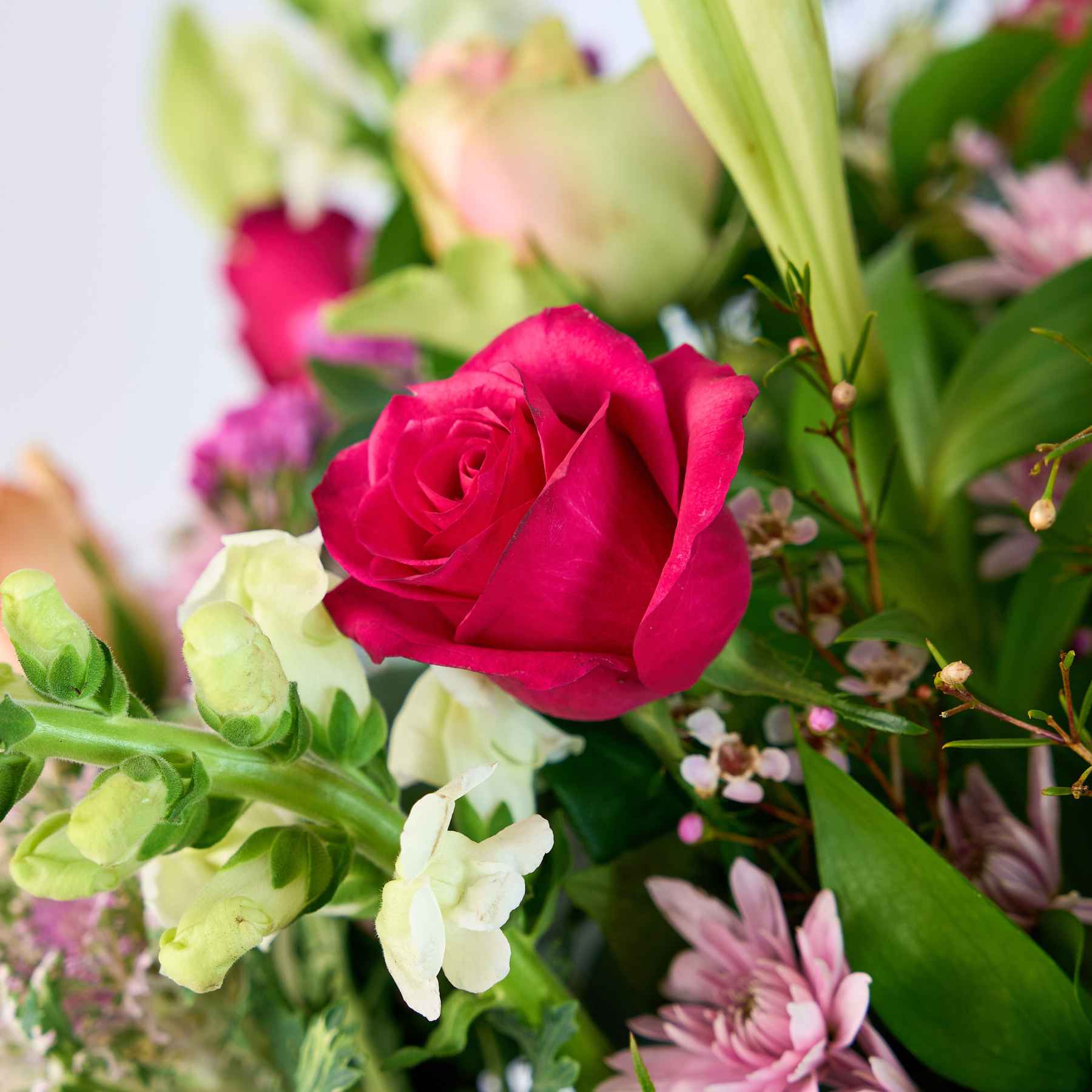 Close-up of a red rose amidst a colourful arrangement, highlighting the lush greenery and delicate surrounding flowers.