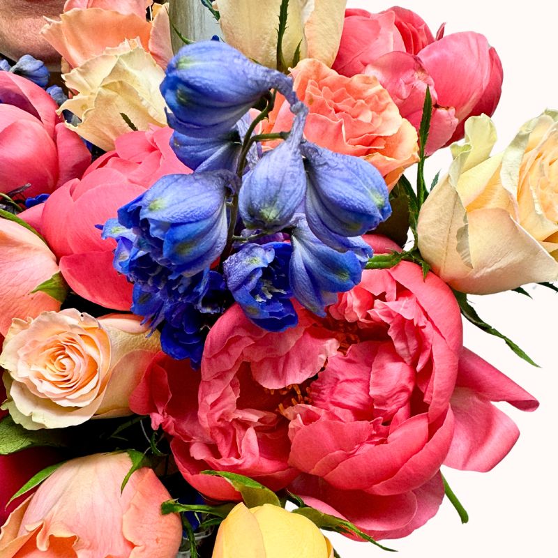 Detailed view of Heart & Bloom floral arrangement with rich coral peonies, pastel roses, and striking blue delphinium cluster.