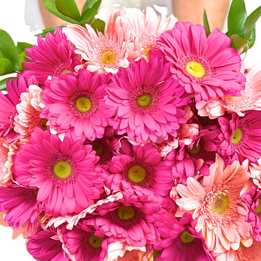 Close-up of Infinite Pink Gerbera Bouquet showing hot-pink gerbera petals and fresh foliage detail