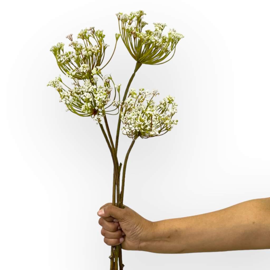 Lace Flower Cream artificial blooms on white background - Fabulous Flowers & Gifts