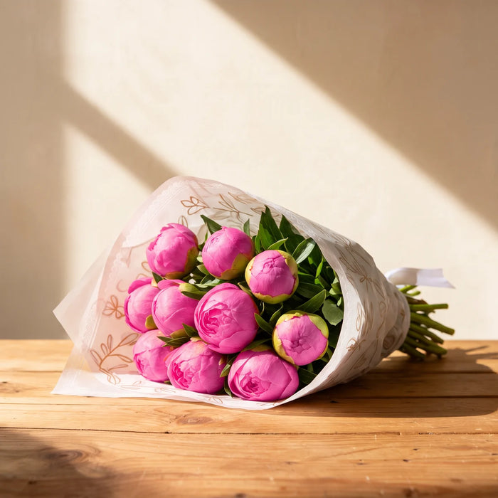 Ten Monsieur Jules Elie peonies in rose pink bud with lime green tips, wrapped in white and gold leaf print paper on a pine table in afternoon sunlight, Fabulous Flowers South Africa