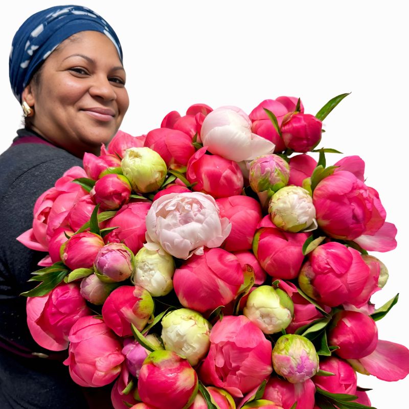 Team member holds a large Peony Parade - Fabulous Flowers and Gifts bouquet with vibrant pink and white peonies.