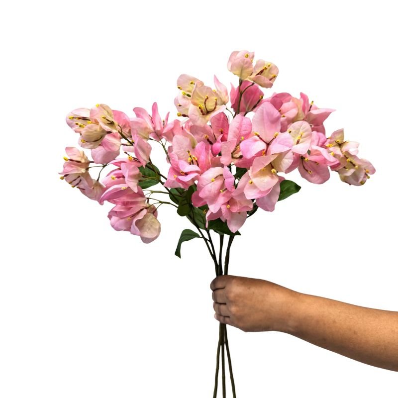 Hand holding a bouquet of pink flowers against a white background