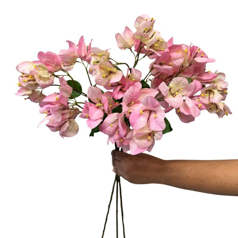 Hand holding a bouquet of pink flowers against a white background