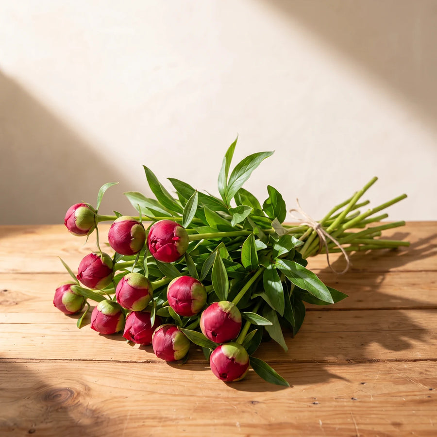 10 red peony stems in tight crimson bud form with green leaves, hand-tied with twine on a rustic pine table, Fabulous Flowers Cape Town
