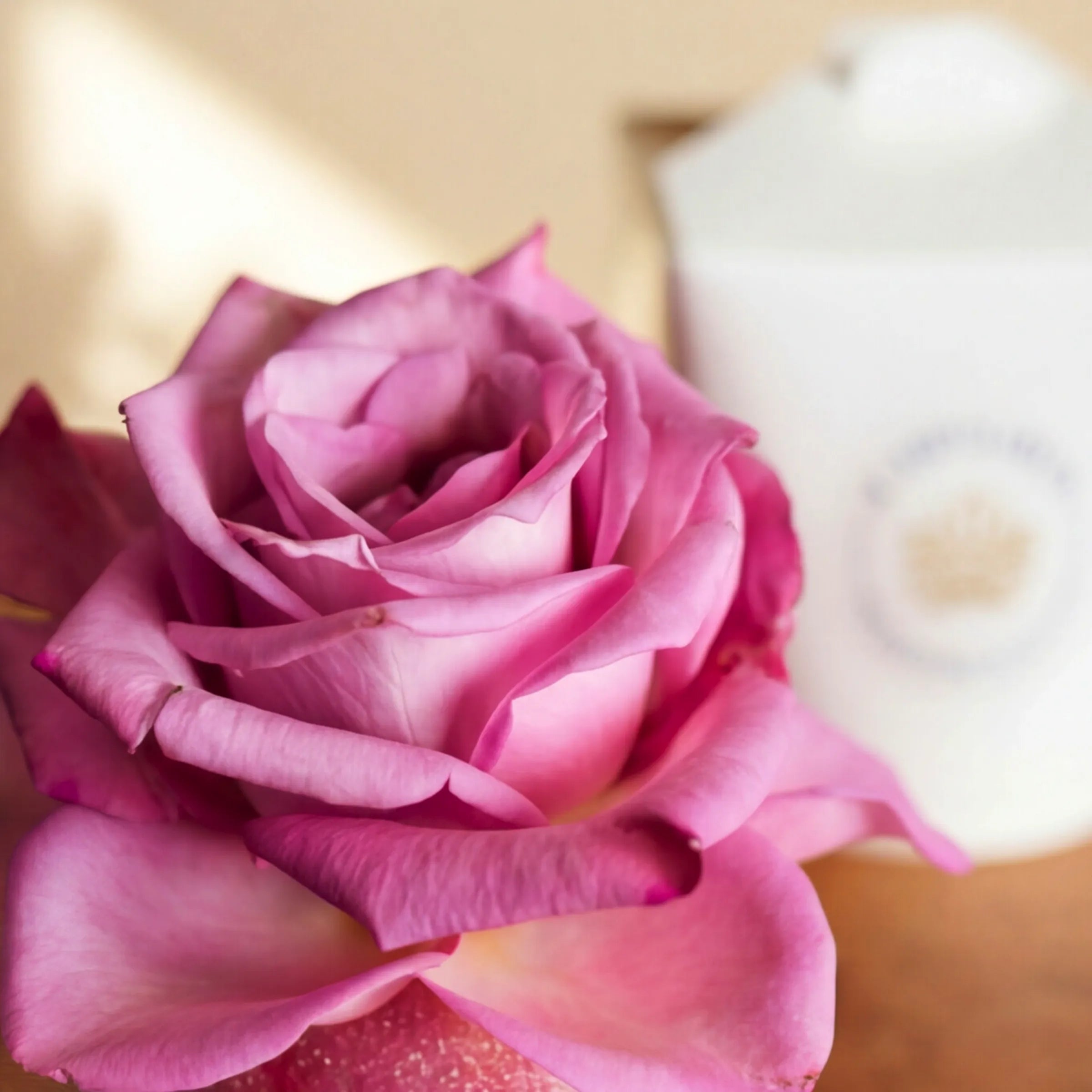 Close-up of the pink rose bloom topping the Single Vanilla Cupcake by Fabulous Flowers