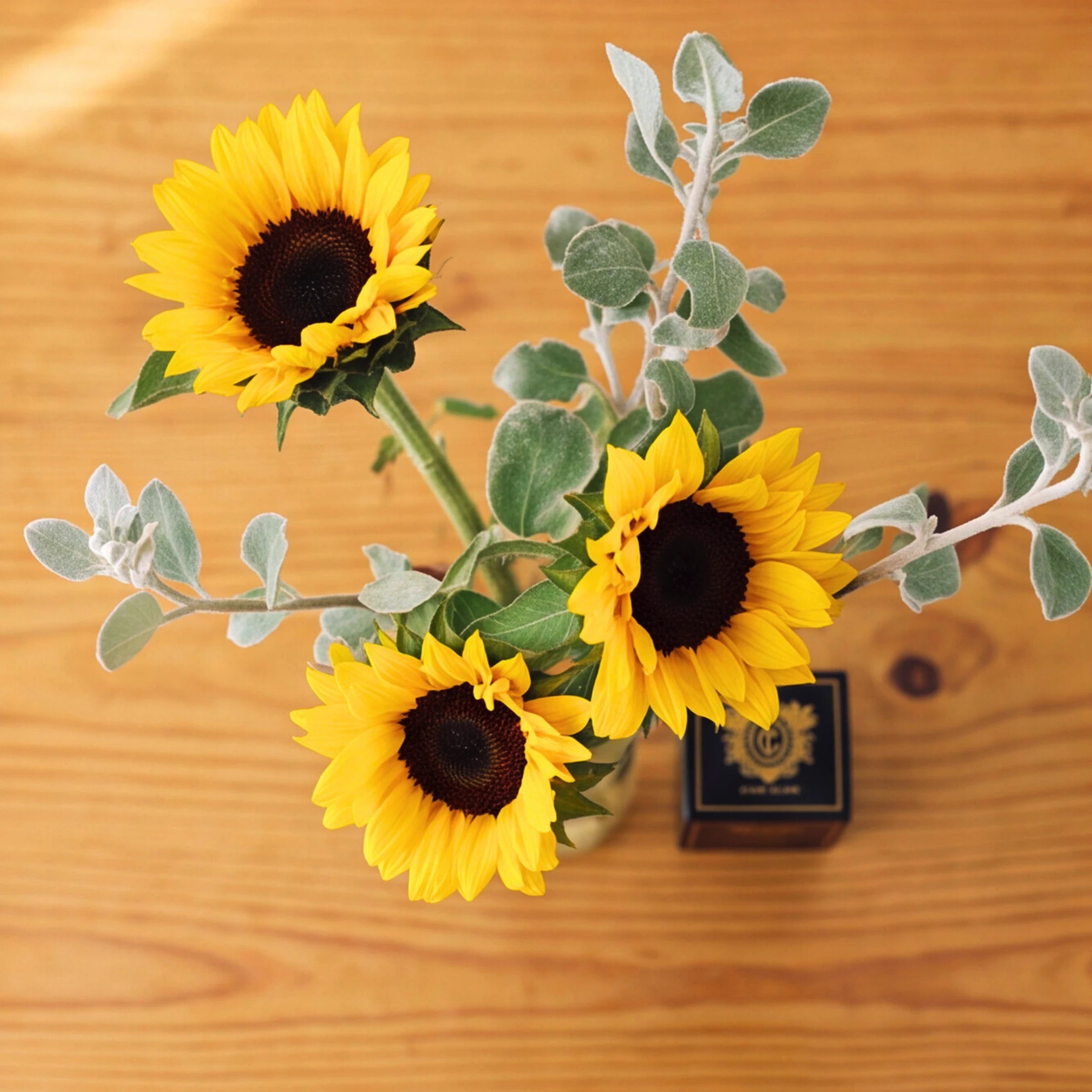 Three yellow sunflowers with dark brown centers and dusty silver-green foliage, arranged in a small clear vase on a warm wooden tabletop next to a small black decorative box.