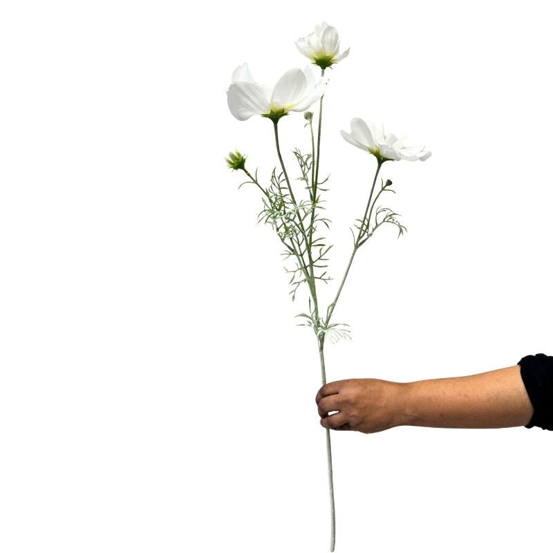 Hand holding a stem of white flowers against a white background