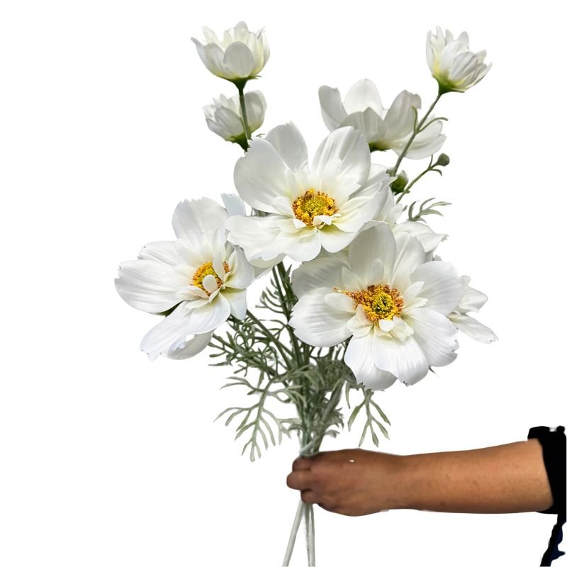 Bouquet of white flowers held by a person against a white background
